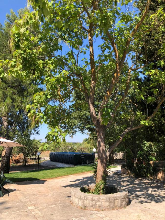 Villa Valentina Locorotondo Dış mekan fotoğraf