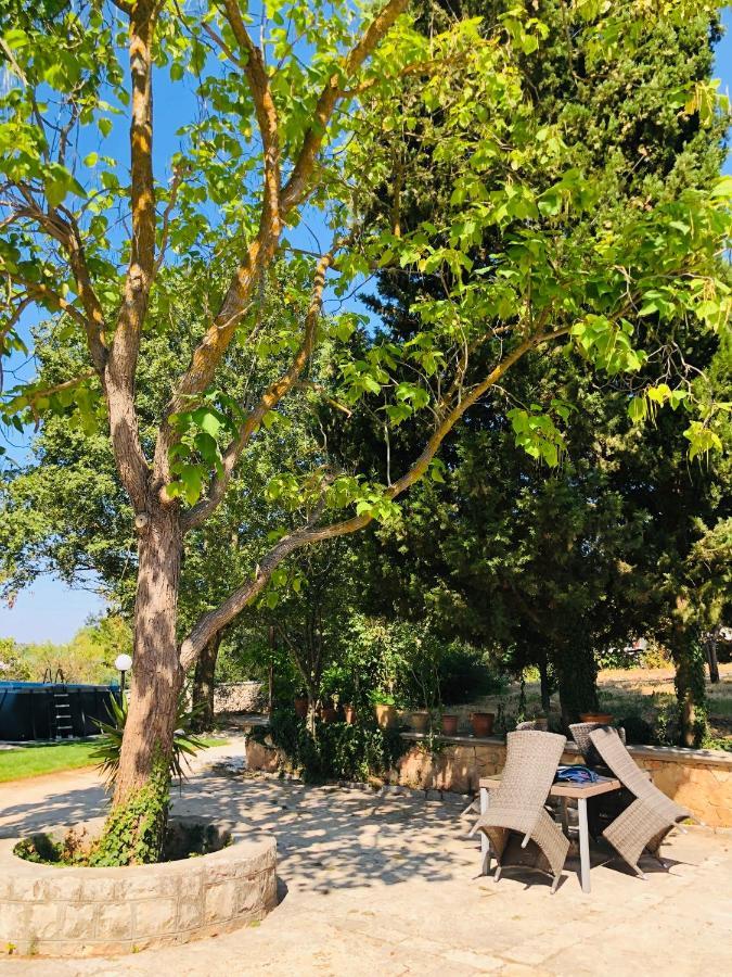 Villa Valentina Locorotondo Dış mekan fotoğraf